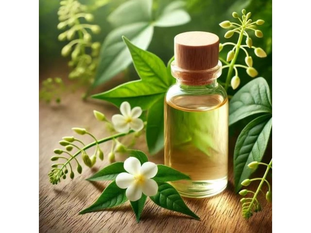 小花蔓澤蘭Mikania EX